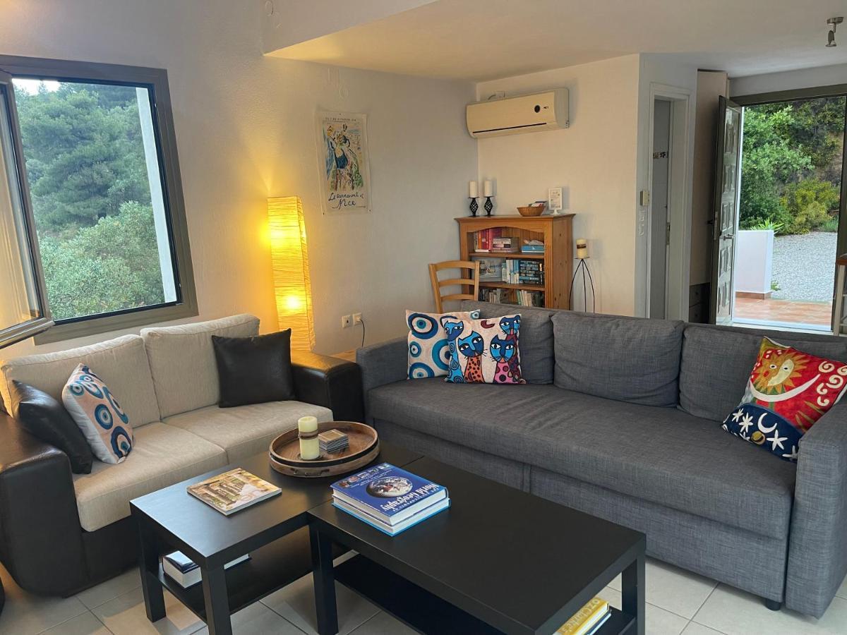 Skiathos Seaview Villa With Pool Punta Zewnętrze zdjęcie